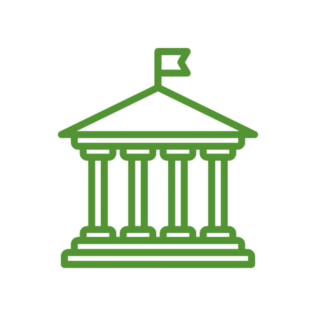 Government initiatives icon